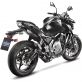 LIGNE COMPLETE LEOVINCE LV ONE CARBONE 14182E