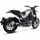 DECATALYSEUR LEOVINCE 8098