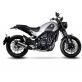 DECATALYSEUR LEOVINCE 8098
