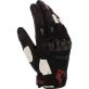 Gants Bering Planet