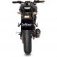 LIGNE COMPLETE LEOVINCE LV ONE EVO CARBONE 14366EK