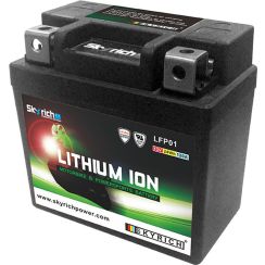 Batterie Skyrich Lithium LFP01