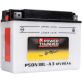 Batterie Power Thunder P50-N18L-A3