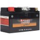 Batterie Power Thunder PT7B-4