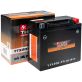 Batterie Power Thunder PTX20L FA