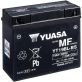Batterie Yuasa YT19BL-BS
