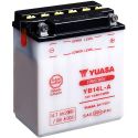 Batterie Yuasa YB14L-A