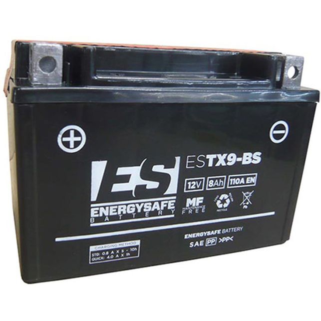 Batterie Energy Safe ESTX9-BS