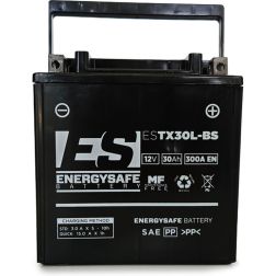 Batterie Energy Safe ESTX30L-BS
							  		