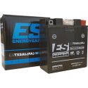 Batterie Energy Safe ESTX5AL FA