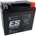 Batterie Energy Safe ESTX5L Gel