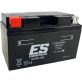 Batterie Energy Safe ESTZ10S Gel