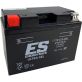Batterie Energy Safe ESTZ12S Gel