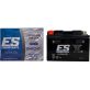 Batterie Energy Safe ESTZ14S Gel