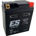 Batterie Energy Safe ESTZ8V Gel