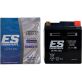 Batterie Energy Safe ESTZ8V Gel